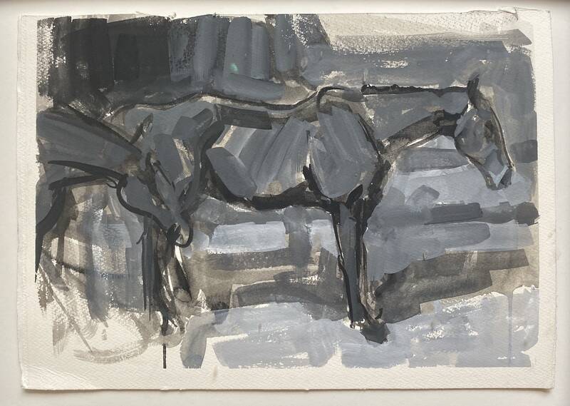 Conformation Stud... by Ben Fenske