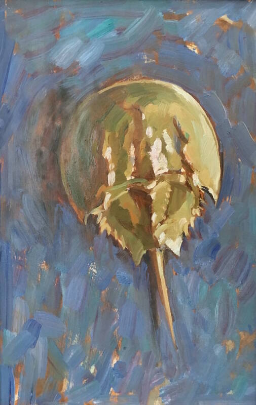 Horseshoe Crab, B... by Ben Fenske