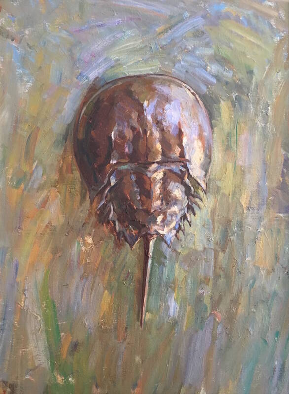 Horseshoe Crab by Ben Fenske