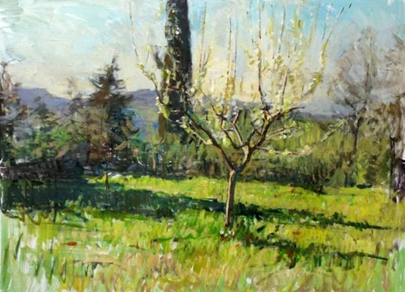 Spring Explosion by Ben Fenske