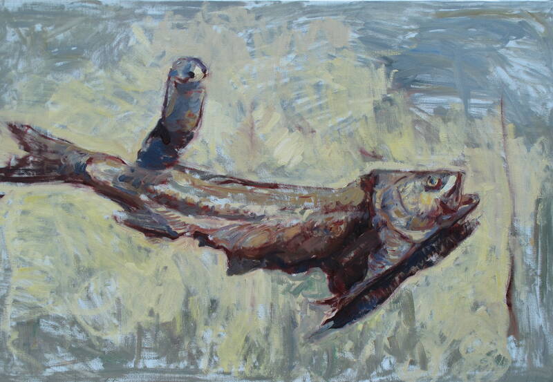 Striped Bass by Ben Fenske