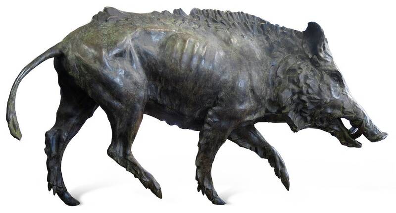 Wild Boar by Ben Fenske