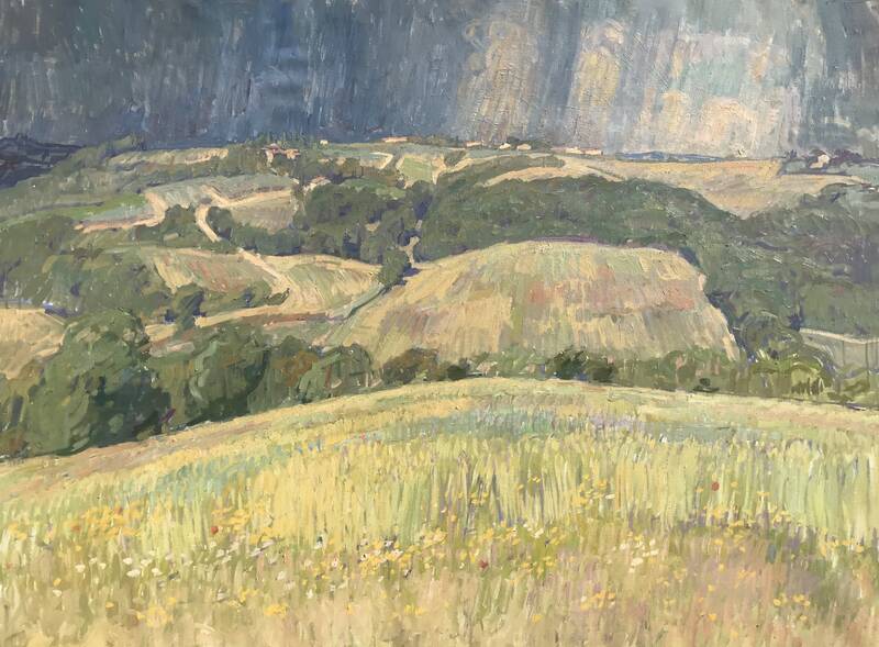 Wildflowers, Stor... by Ben Fenske