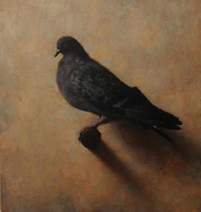 Pigeon by 