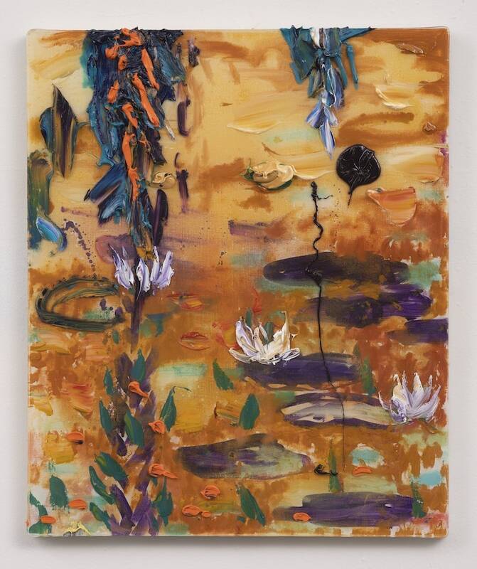 Cook Pond by Darius Yektai