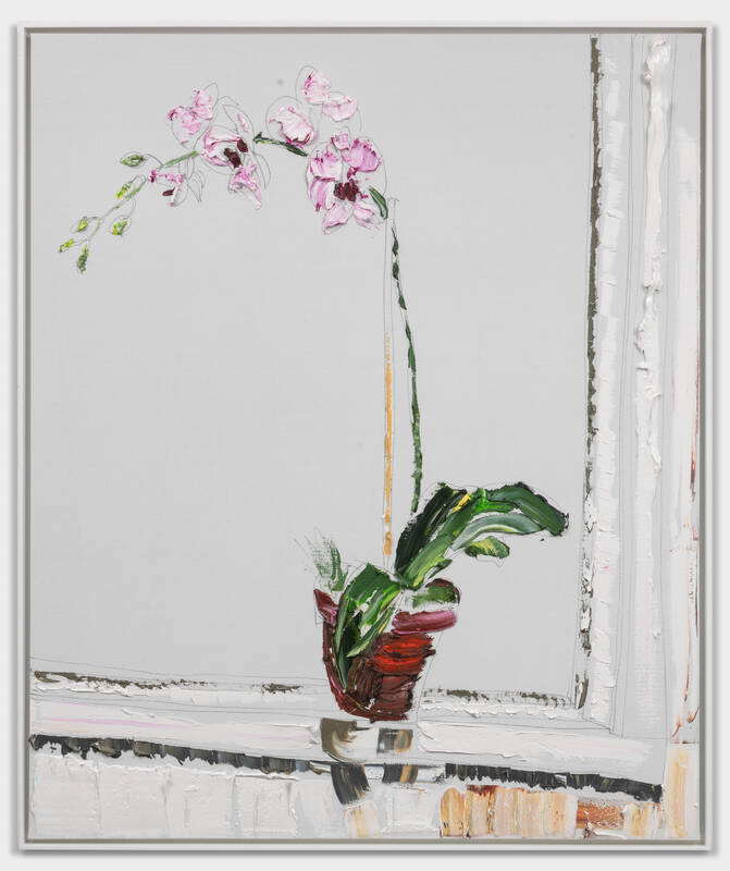 Orchid on Window ... by Darius Yektai