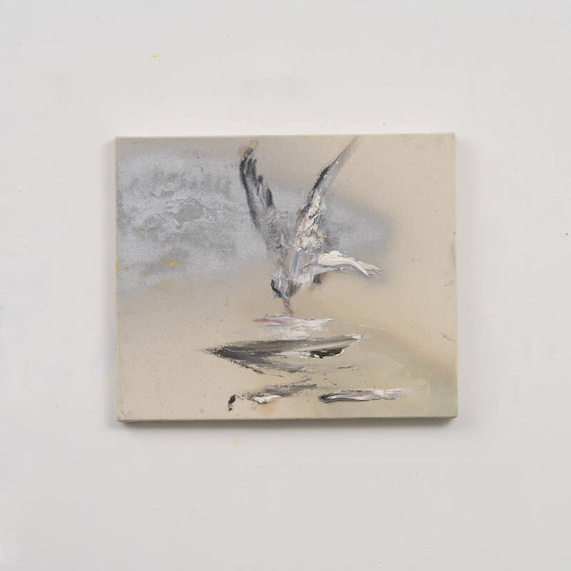 Tern 4 by Darius Yektai