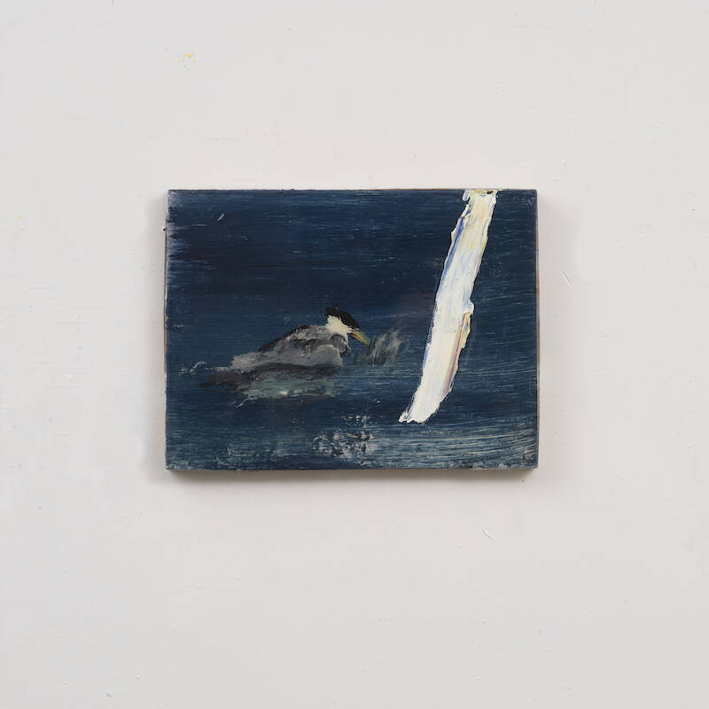 Tern 5 by Darius Yektai