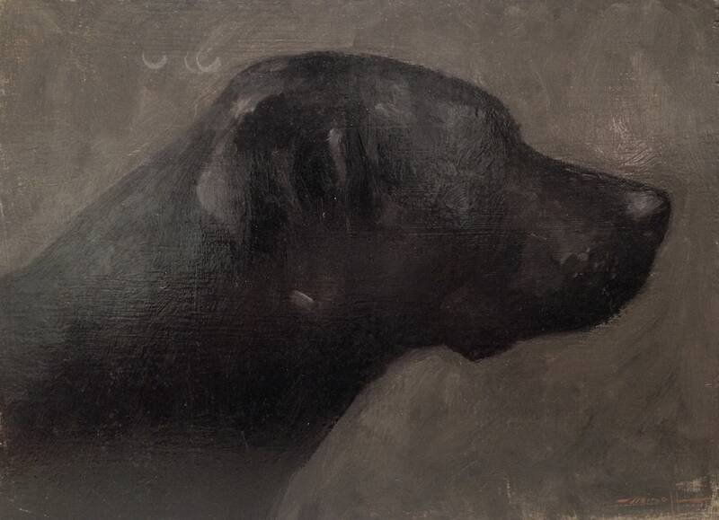 Finny by Edward Minoff