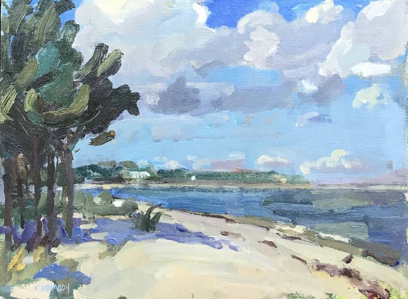 Hay Beach, Shelte... by Kelly Carmody