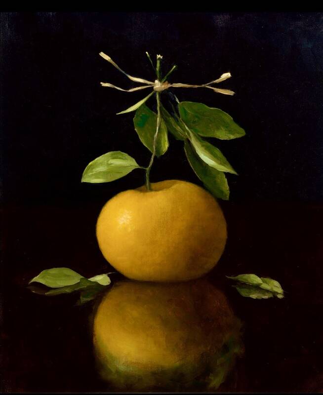Grapefruit by Sarah Lamb