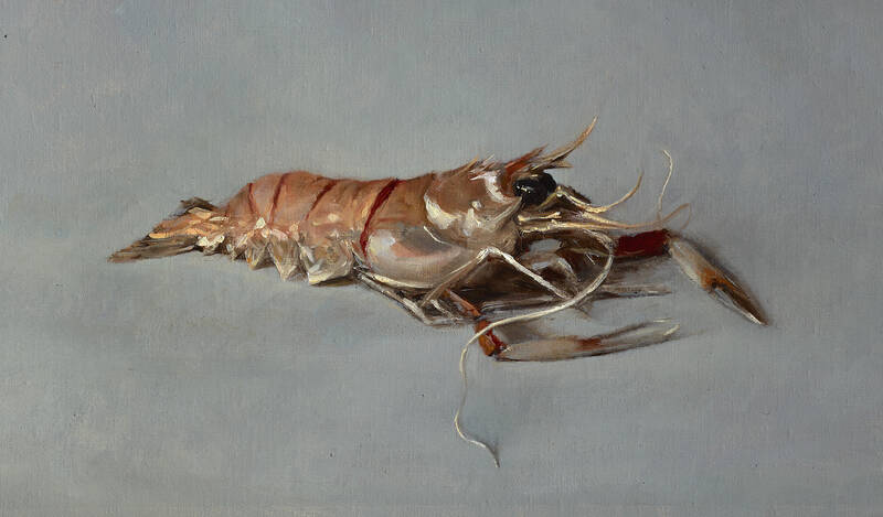 Langoustine by Sarah Lamb