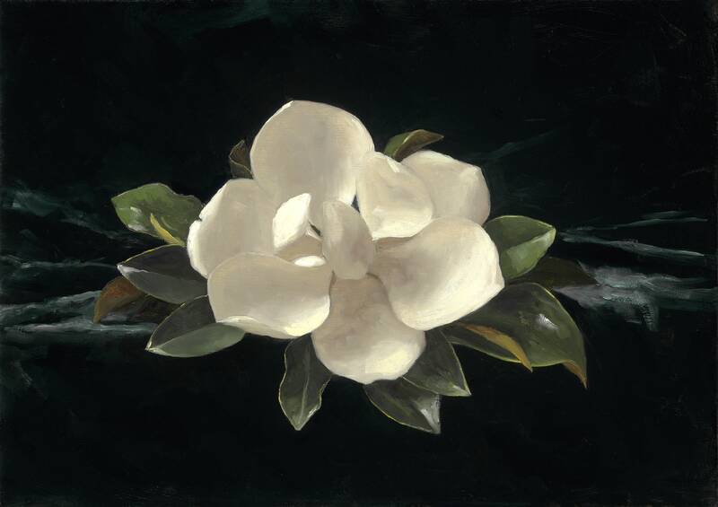 Magnolia by Sarah Lamb