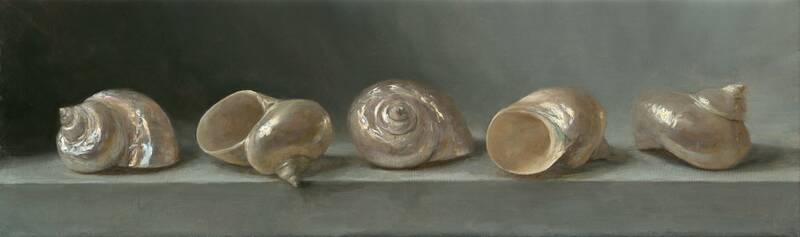 Shells  by Sarah Lamb
